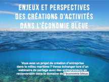Webinaire sur les enjeux et les perspectives des créations d'entreprises dans l'économie bleue