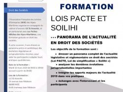 Formation AFJE : "Lois Pacte et Soilihi, panorama de l'actualité en droit des sociétés"