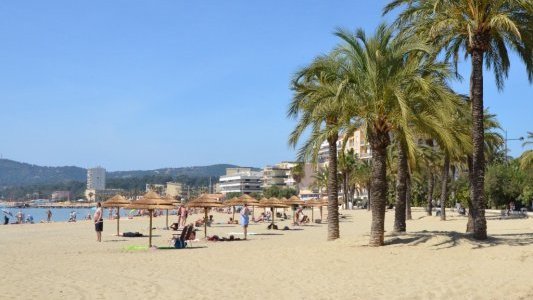 Canicule : le Var bascule en vigilance orange, des pointes à 40°C attendues ce week-end