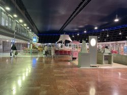 Appel d'offres : L'aéroport Nice Côte d'Azur recherche de nouveaux concepts innovants