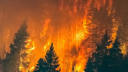 Incendies en Gironde, dans les Landes et le Var : entrée en vigueur de l'aide exceptionnelle pour les TPE-PME