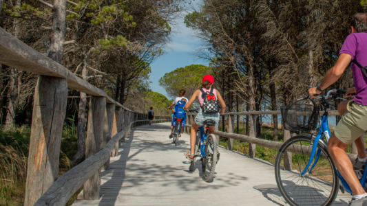 Tour du Cap d'Antibes : la mairie devra réexaminer la demande d'aménagement pour les vélos