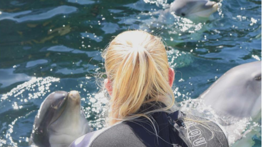 Marineland : Fermeture définitive envisagée pour le zoo marin