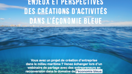 Webinaire sur les enjeux et les perspectives des créations d'entreprises dans l'économie bleue