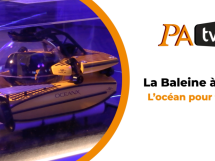 La Baleine à Nice : l'océan pour tous