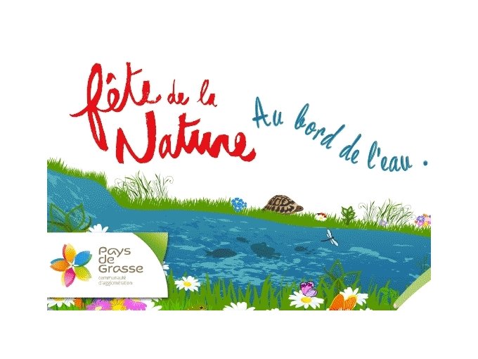 Du 20 au 23 mai 2015, (…)