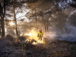 Forêt Modèle de Provence appelle à une refonte de la politique de prévention