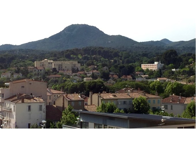 Rapport sur la gestion de