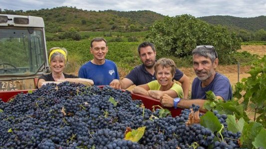 Domaine du Favanquet, un retour à la terre réussi pour 5 amis