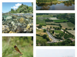 Agence régionale pour l'environnement Agence régionale de la biodiversité Paca : nouveaux locaux, nouveaux statuts, nouvelles missions