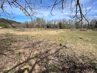 Neyrat Immobilier cultive son engagement durable avec un potager d'entreprise au Thoronet