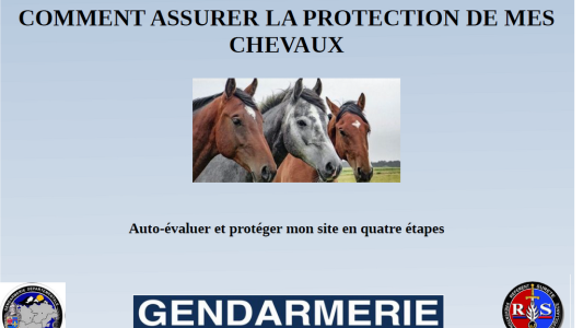 Une Opération Tranquillité Equestre lancée par la Gendarmerie du Var