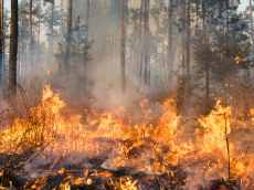 Incendies : le Crédit Agricole annonce des mesures de soutien pour les sinistrés et les secours