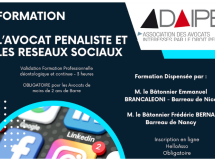 Les avocats pénalistes face aux défis des réseaux sociaux : une formation ADAIPE inédite à Nice