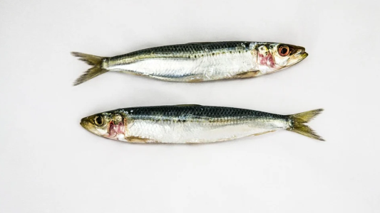 Vos infos de ce jeudi 1er avril