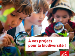 Protection de la biodiversité : la Caisse d'Épargne Côte d'Azur lance un appel à projets local 