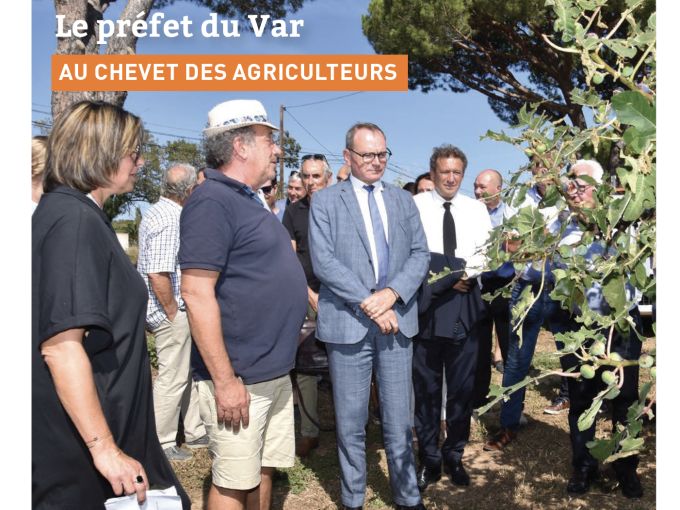 Petites Affiches VAR (…)