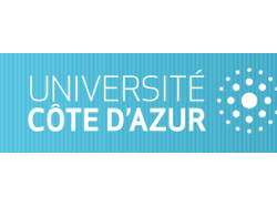 UCA : Inscriptions au Diplôme d'Université Interaction, art et psychothérapie jusqu'au 30 septembre 2019