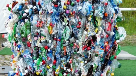 Cannes : lancement d'un plan « ze ?ro plastique » pour tous les utilisateurs du domaine public