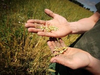 Coronavirus : le point sur les mesures et les actions du gouvernement au 7 avril