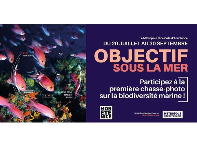 Concours photos : Partici