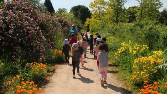 À l'ombre, à l'aube ou sous les étoiles : les Jardins du MIP s'adaptent déjà aux étés de demain