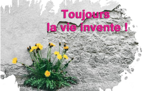34e Festival du livre de Mouans-Sartoux : le Crédit Mutuel Méditerranéen toujours fidèle