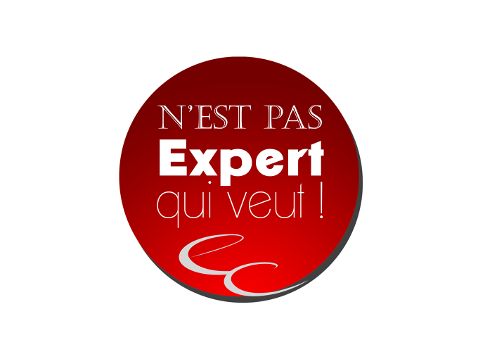 Les experts-comptables en