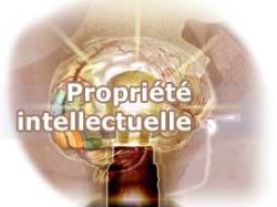 Contrefaçon d'œuvres littéraires : quelles règles s'appliquent ? 