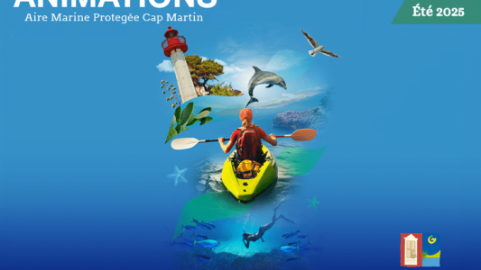 Aire marine protégée Cap Martin : des sorties en voilier pour les petits (et grands) curieux de biodiversité marine