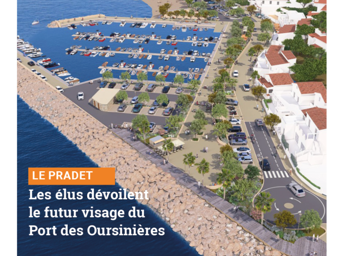 Petites Affiches VAR (…)