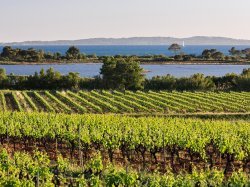 La Londe-les-Maures plébiscitée par les Français