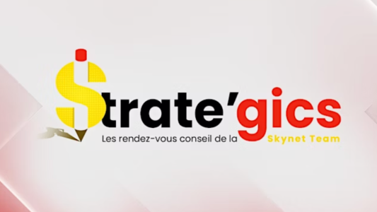 Café conseil Straté'gics Skynet : "Le LMNP .... état des lieux après les réformes en 1h chrono"