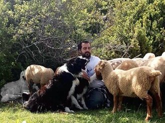 Dans la montagne d'ilonse, si les brebis ont des puces, c'est pour être mieux connectées !