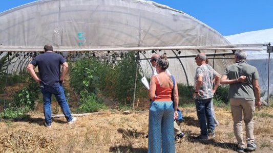 Levens s'inspire de l'exemple de Mouans-Sartoux pour son projet de ferme publique