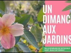 Un merveilleux dimanche aux jardins de la Villa Ephrussi