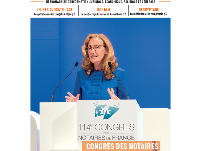 Les Petites Affiches (…)