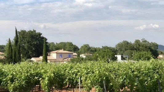 En 2020, les Vins de Provence rosés poursuivent leur croissance à l'export