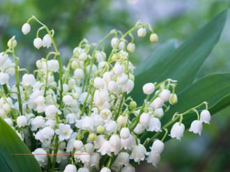 L'essentiel de l'actualité de ce mardi 14 avril