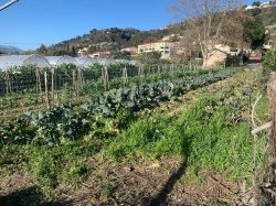 Agriculture : Les Alpes-Maritimes s'offrent une vitrine à Paris