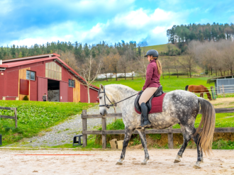 La responsabilité du gérant de centre équestre