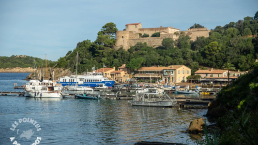  La 2ème édition des « Pointus à Port-Cros » affiche déjà complet