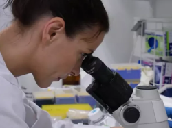 Journée Mondiale – France Alzheimer 83 multiplie les actions de sensibilisation
