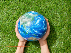 Prêts verts : levier stratégique pour la transition écologique des entreprises