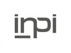 Open Data INPI des comptes annuels : 1 000 utilisateurs actifs !