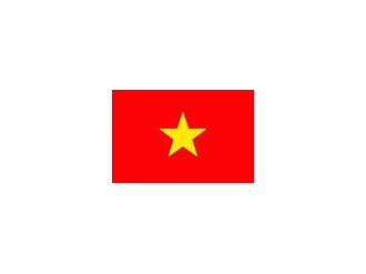Les femmes au Vietnam, piliers de la famille dans la paix et le combat.