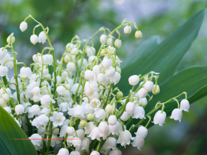 L'essentiel de l'actualit