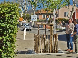 Au Pradet, un programme de plantation contre les îlots de chaleur