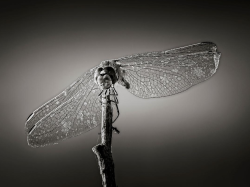 À Hyères, la nature se fait galerie d'art tout l'été