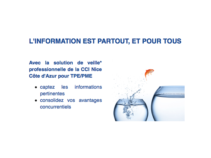 FORMATION CCI NCA : (…)